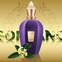 XERJOFF Soprano 100 ml