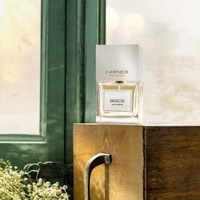 CARNER BARCELONA Beta Aqua 100 ml