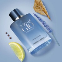 GIORGIO ARMANI Acqua di Gio 100 ml