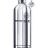 MONTALE Vanille Absolu for women —
